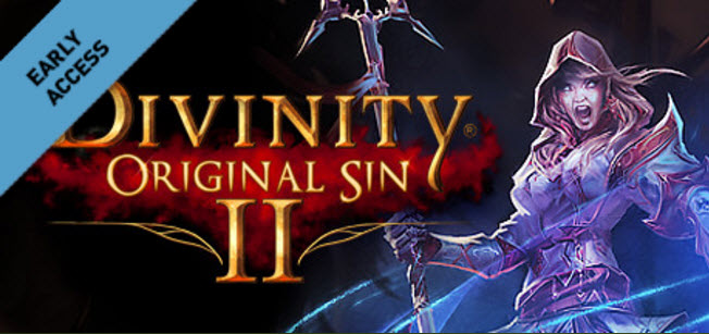 【Divinity Original Sin 2】アーリーアクセスのレビュー 感想